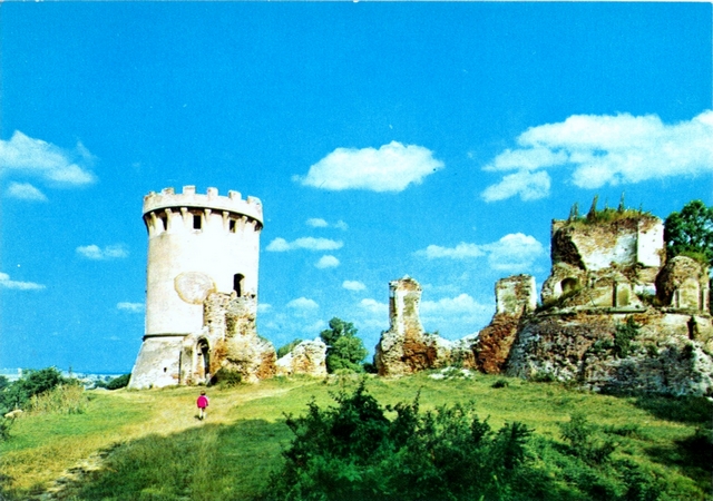 1169 - Satu Mare. Castelul de la Ardud